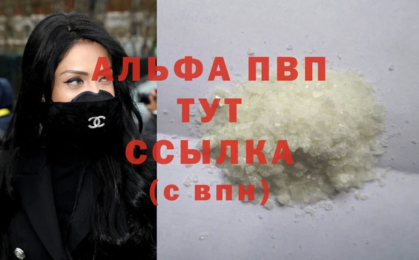 spice Покачи